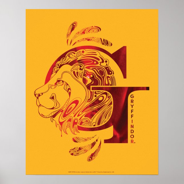 Harry Potter | Aguamenti GRYFFINDOR™ Graphic Poster (Front)