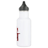 Harry Potter Quidditch 32oz Water Bottle