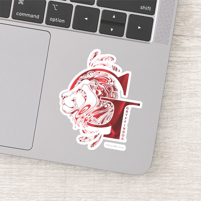 Harry Potter | Aguamenti GRYFFINDOR™ Graphic Sticker (Detail)
