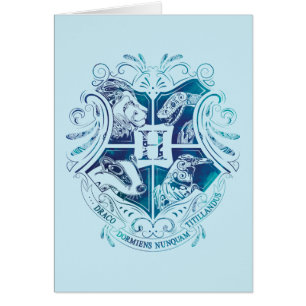 Harry Potter Aguamenti HOGWARTS™ Crest