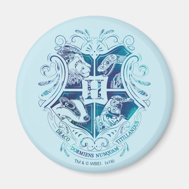 Harry Potter | Aguamenti HOGWARTS™ Crest Magnet (Front)
