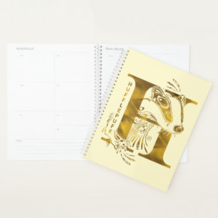 Harry Potter Aguamenti HUFFLEPUFF™ Graphic Planner