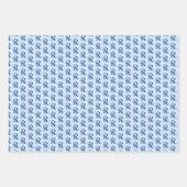 Harry Potter | Aguamenti RAVENCLAW™ Graphic Wrapping Paper Sheets (Front)