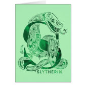 Harry Potter | Aguamenti SLYTHERIN™ Graphic (Front)