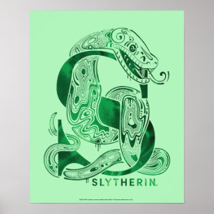 Harry Potter   Aguamenti SLYTHERIN™ Graphic Poster