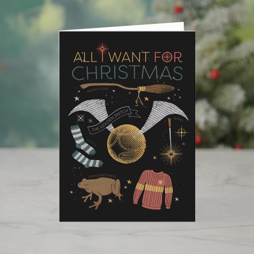 HARRY POTTER All I Want For Christmas Holiday Card