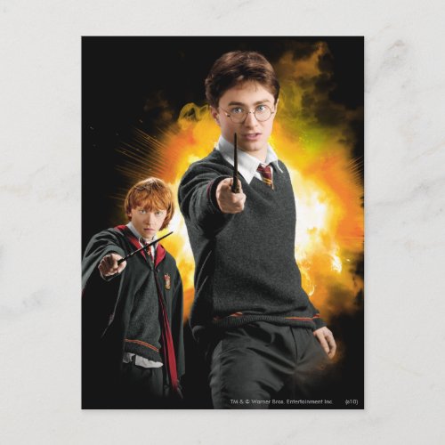 Harry Potter and Ron Weasely Postcard