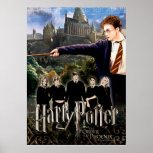 HARRY POTTER AND THE ORDER OF THE PHOENIX™ POSTER