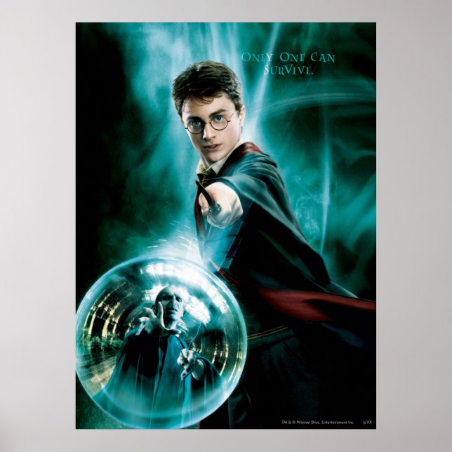 Harry Potter and Voldemort Only One Can Survive Poster (Front)
