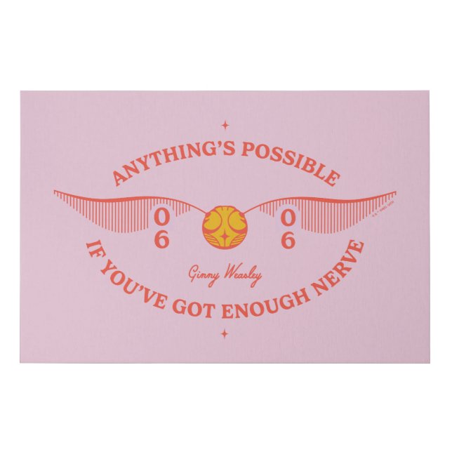 HARRY POTTER™ | Anything's Possible Faux Canvas Print (Front)