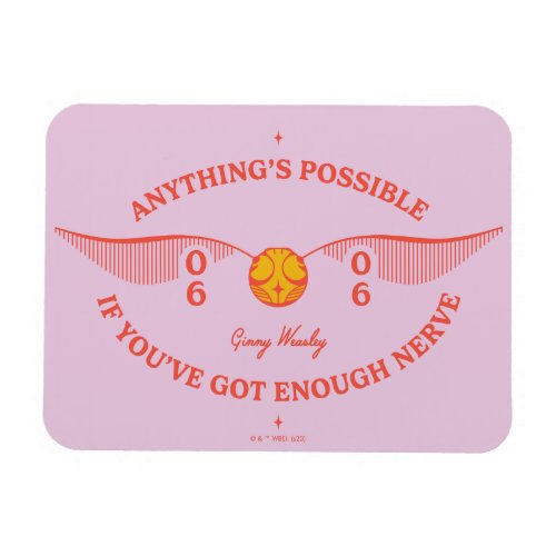 HARRY POTTER  Anythings Possible Magnet