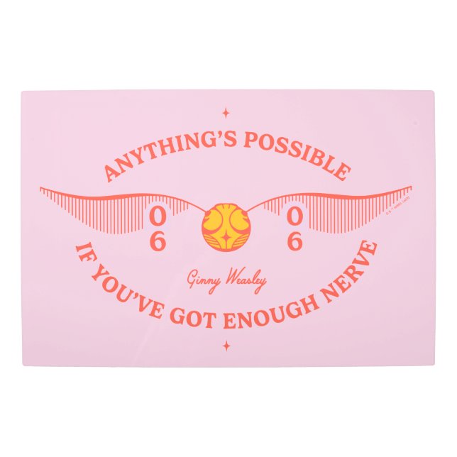 HARRY POTTER™ | Anything's Possible Metal Print (Front)