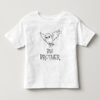 Harry Potter Baby Shower | Big Brother