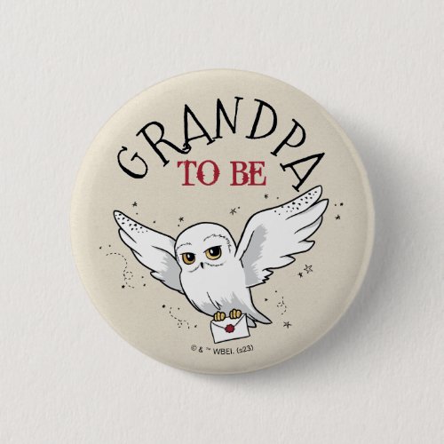 Harry Potter Baby Shower | Grandpa To Be