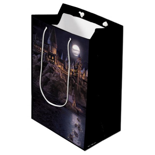 Harry Potter Castle  Great Lake to Hogwarts Medium Gift Bag