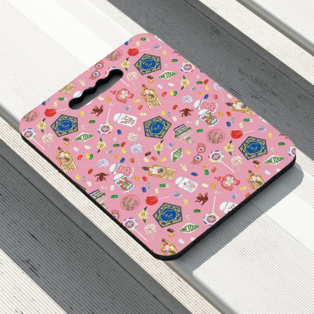 HARRY POTTER™ | Chocolate Frogs & Candy Pattern Seat Cushion (In Situ)