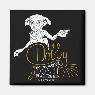 Harry Potter Dobby Has No Master Magnet
