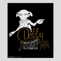 Harry Potter | Dobby Has No Master Poster