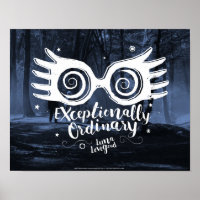 Harry Potter | Exceptionally Ordinary