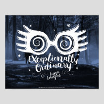 Harry Potter | Exceptionally Ordinary Poster