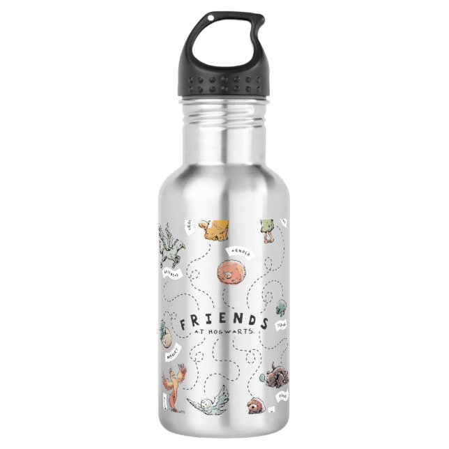 HARRY POTTER™ | Friends of Hogwarts Stainless Steel Water Bottle (Front)
