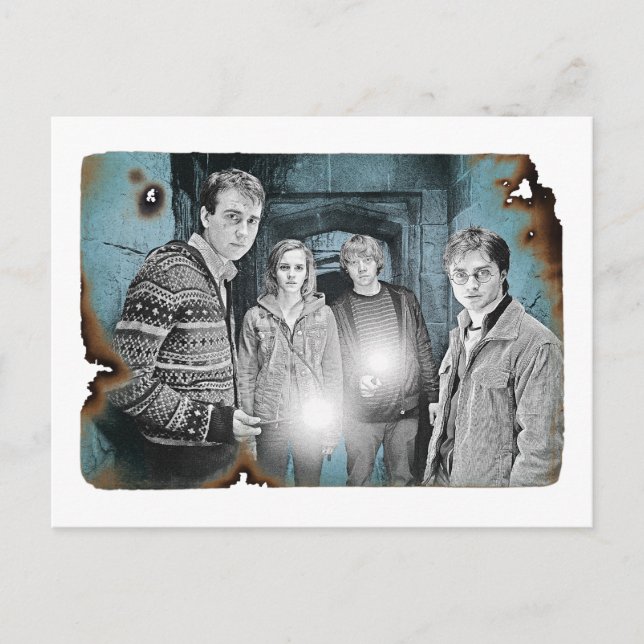 Harry Potter Group Shot Postcard (Front)