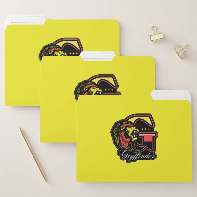 HARRY POTTER™ | GRYFFINDOR™ Athletic Badge File Folder (Set)