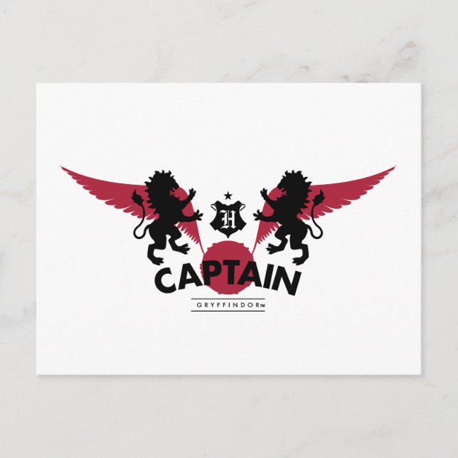 Harry Potter | GRYFFINDOR™ House Quidditch Captain Postcard (Front)