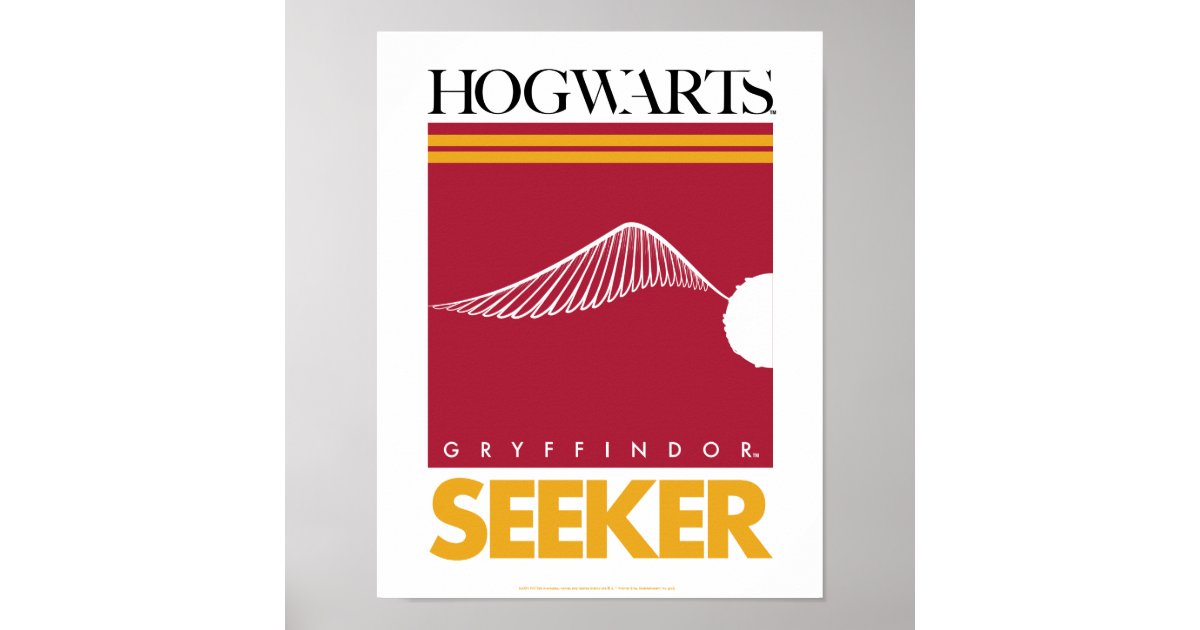 Harry Potter - Movie Poster / Print (Quidditch At Hogwarts) (Poster &  Poster Strip Set)