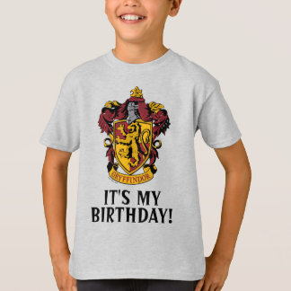 Harry Potter | Gryffindor - It's My Birthday T-Shirt
