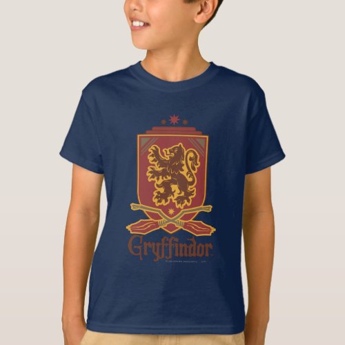 Harry Potter  Gryffindor QUIDDITCH  Badge T_Shirt