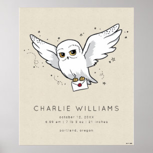 Harry Potter   Hedwig Baby Birth Stats Poster