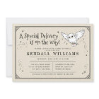 Harry Potter | Hedwig Baby Sprinkle