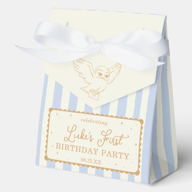 Harry Potter Hedwig Blue Stripe Baby Shower Favor Boxes (Front)