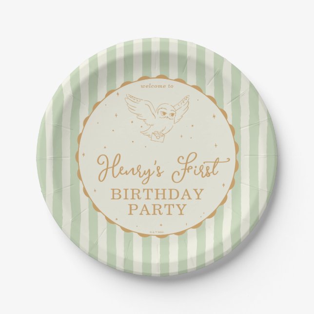 Harry Potter Hedwig Green Magical Birthday Paper Plates (Front)