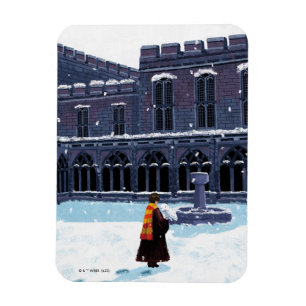 HARRY POTTER™ & Hedwig in HOGWARTS™ Courtyard Magnet
