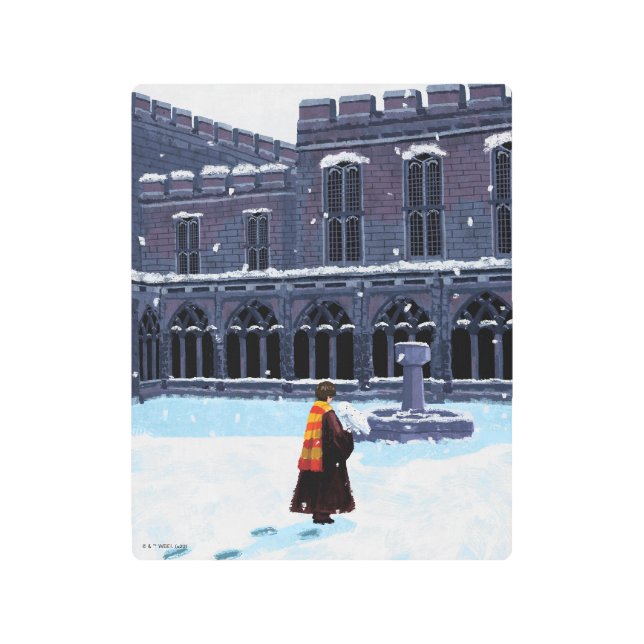 HARRY POTTER™ & Hedwig in HOGWARTS™ Courtyard Metal Print (Front)