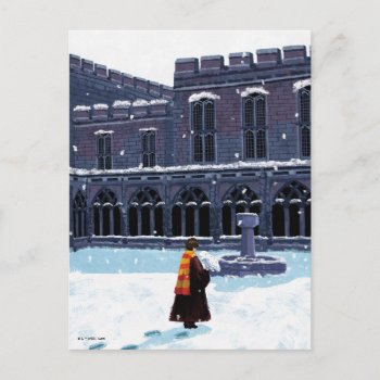 Harry Potter™ & Hedwig In Hogwarts™ Courtyard Postcard by harrypotter at Zazzle