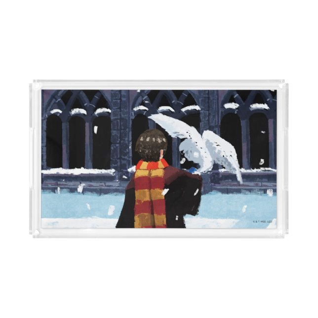HARRY POTTER™ & Hedwig in the Snow Acrylic Tray (Front)