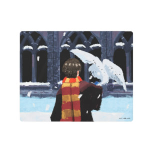 HARRY POTTER™ & Hedwig in the Snow Metal Print
