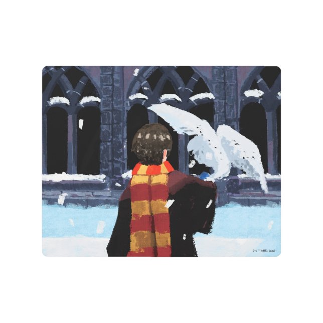 HARRY POTTER™ & Hedwig in the Snow Metal Print (Front)