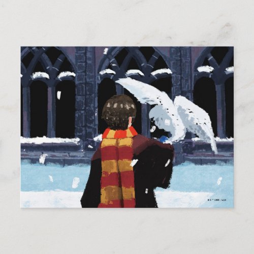 HARRY POTTER  Hedwig in the Snow Postcard