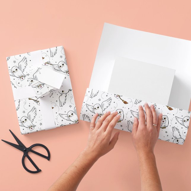 Harry Potter | Hedwig Pattern - Baby Shower Wrappi Wrapping Paper Sheets (Creator Uploaded)