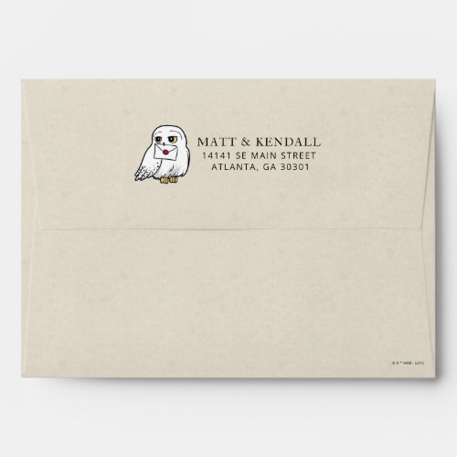 Harry Potter  Hedwig Special Delivery Baby Shower Envelope