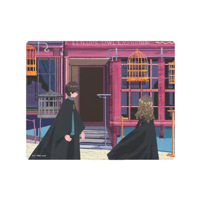 HARRY POTTER™ & Hermione at Eeylops Owl Emporium Metal Print (Front)
