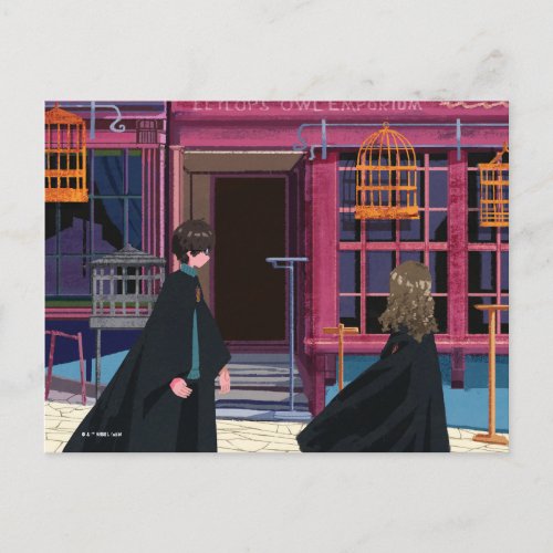 HARRY POTTER  Hermione at Eeylops Owl Emporium Postcard