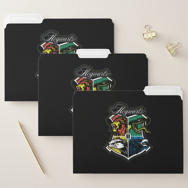 HARRY POTTER™ | HOGWARTS™ Athletic Badge File Folder (Set)