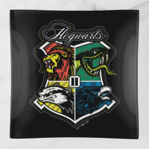 HARRY POTTER™ HOGWARTS™ Athletic Badge Trinket Tray