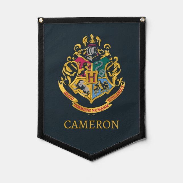 Harry Potter | Hogwarts Crest - Full Color Pennant (Front)