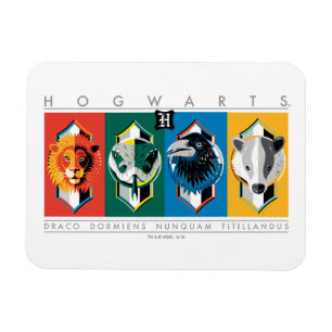 Harry Potter   HOGWARTS™ House Sigils Magnet